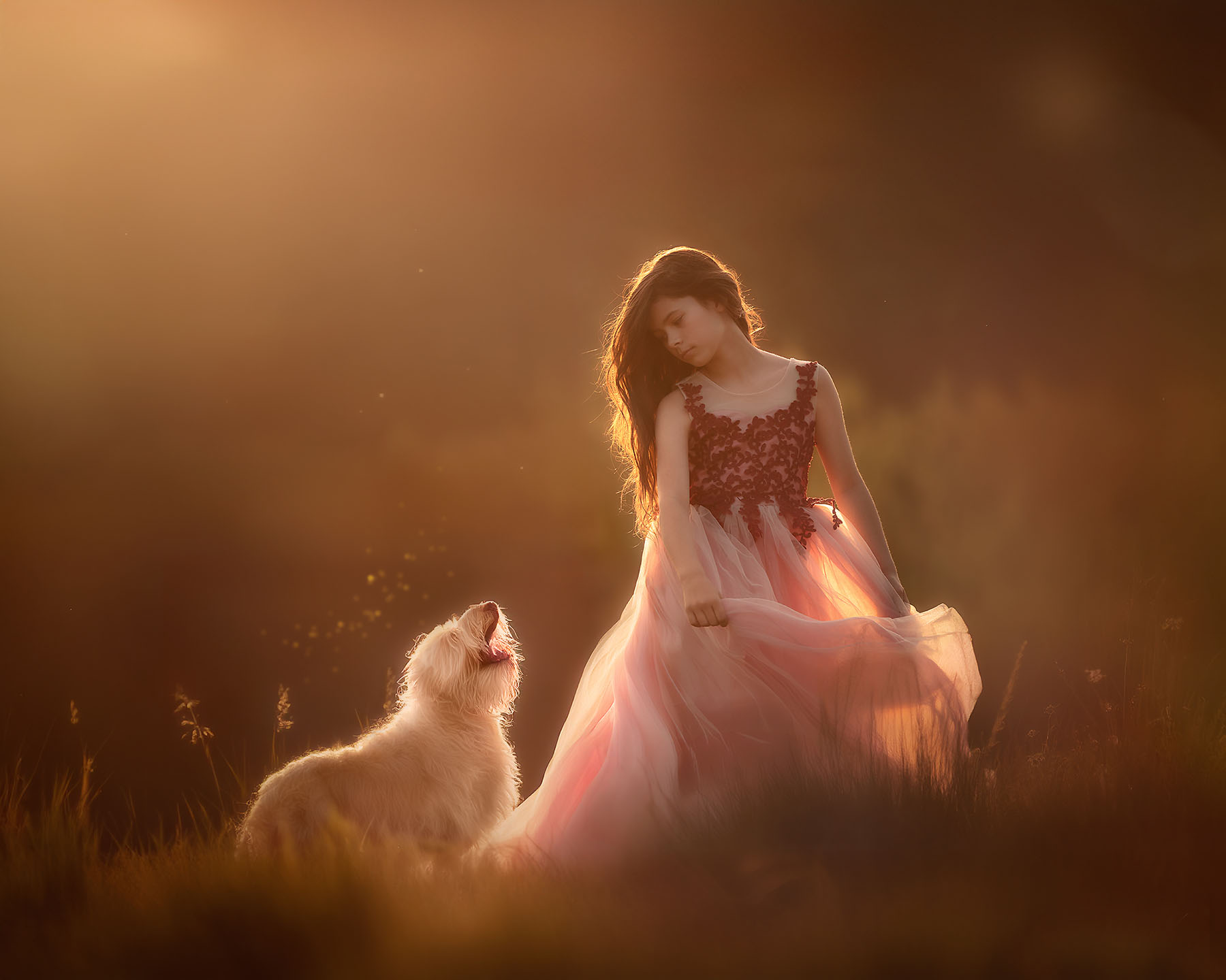 Zonsondergang portret van een meisje met een hond door dogs in art fotografie van fotograaf Willie kers uit Apeldoorn Zonsondergang portret van een meisje met een hond door dogs in art fotografie van fotograaf Willie kers uit Apeldoorn